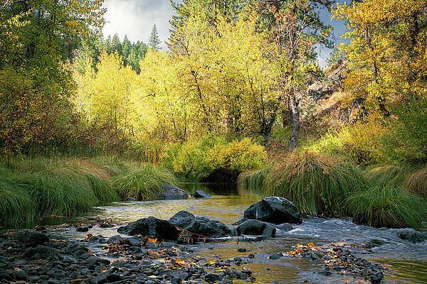Rustic Wall Art featuring the photograph Susan River Autumn Majesty by Mike Lee