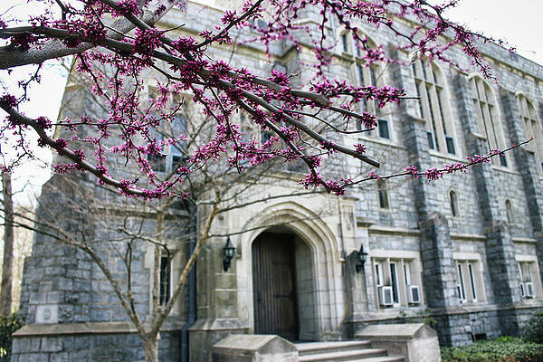 Spring Wall Art featuring the photograph SW Bowne Drew University - Front Spring 2022 by Christopher Lotito