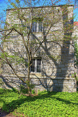 Spring Wall Art featuring the photograph SW Bowne Drew University - Tree And Shadow by Christopher Lotito