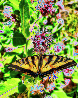 Colorful Wall Art featuring the digital art Swallowtail Butterfly On A Flower by Bruce Block