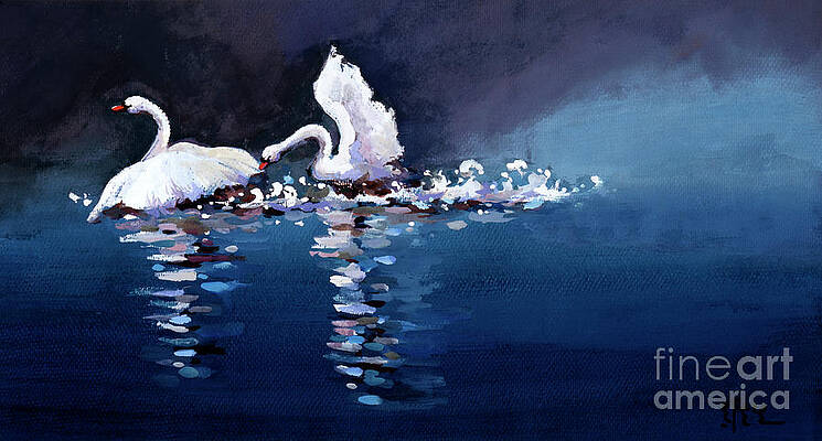Swans Battling Print
