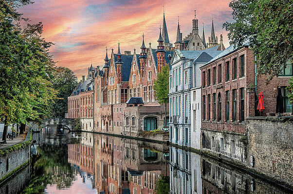 Wildlife Wall Art featuring the photograph Swans Glide On Bruges' Calm Canals by Steven Dos Remedios
