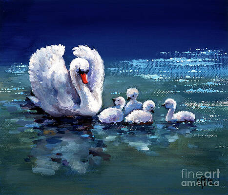 Swan Mother And Chicks Print