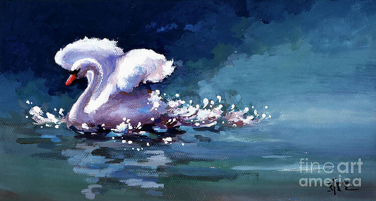 One Swan Landing In Pond Print