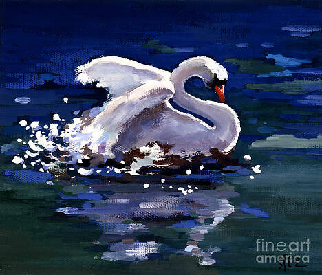 Swan Swimming In Pond Print