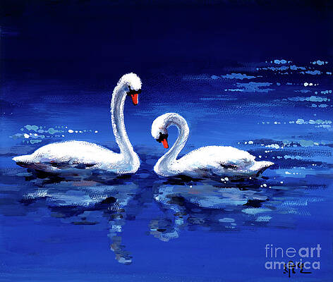 Two Swans Courting In Pond Print