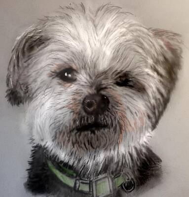 Mixed Media - Sweet Face by Pamela Calhoun