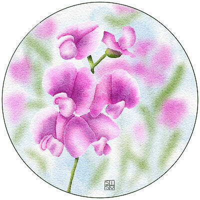 Flower Wall Art featuring the digital art Sweet Pea Flowers In Bloom by Snow Iris Studio