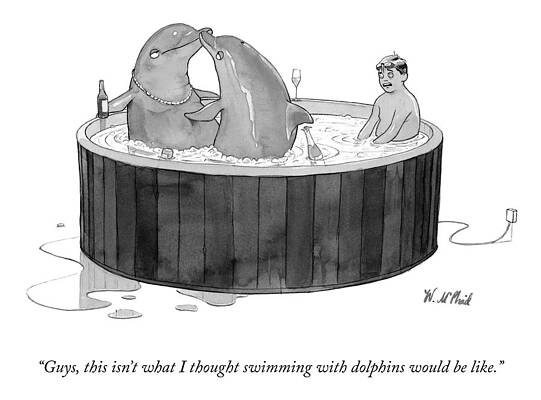 Swim Wall Art featuring the drawing Swimming With Dolphins by Will McPhail