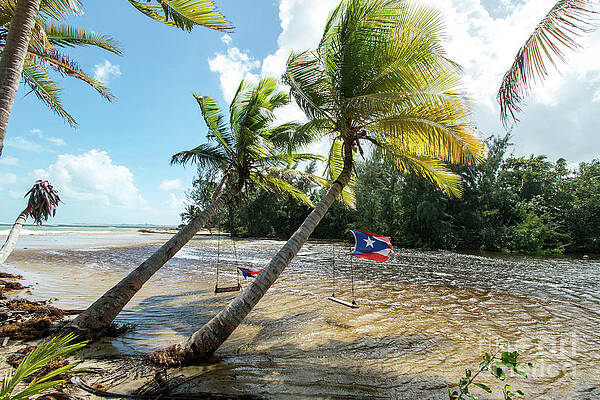 Wave Photograph - Swinging Under The Palm Trees, Loiza, Puerto Rico by Beachtown Views