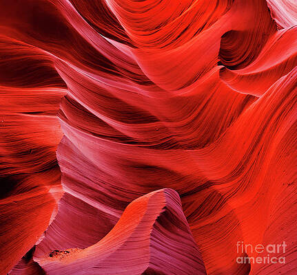 Dramatic Photograph - Swirls Of Eroded Sandstone Rock, Lower Antelope Canyon, Page, Arizona by Neale And Judith Clark