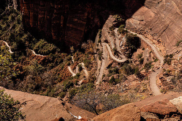 Desert Photograph - Switchbacks On The Angels Landing Trail by Craig A Walker