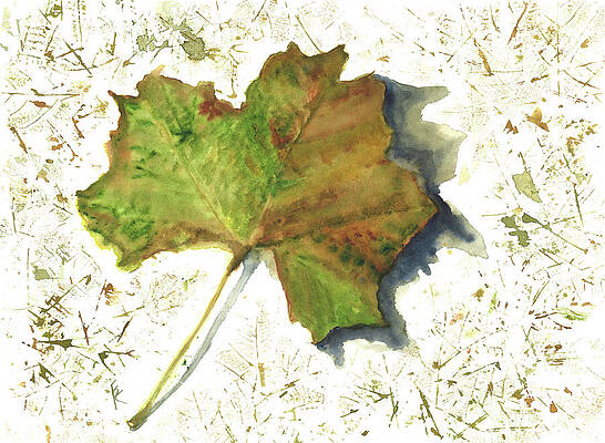 Fall Wall Art featuring the painting Sycamore Leaf, Nature Walk Discovery by Elizabeth Reich