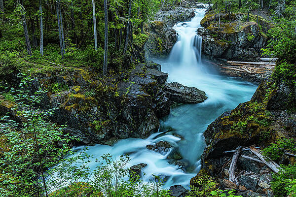 Waterfall Wall Art featuring the photograph Sylvan Silver Falls by Tim Lyden
