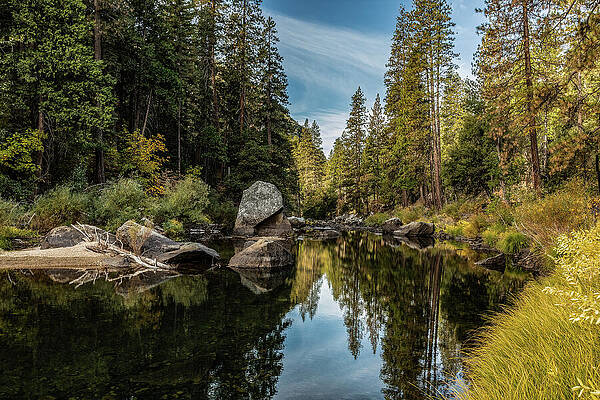 Nature Photograph - Sylvan Solitude by Tim Lyden