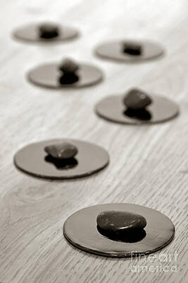 Wall Art featuring the photograph Symbolic Zen Path With Stones In A Spa by Olivier Le Queinec