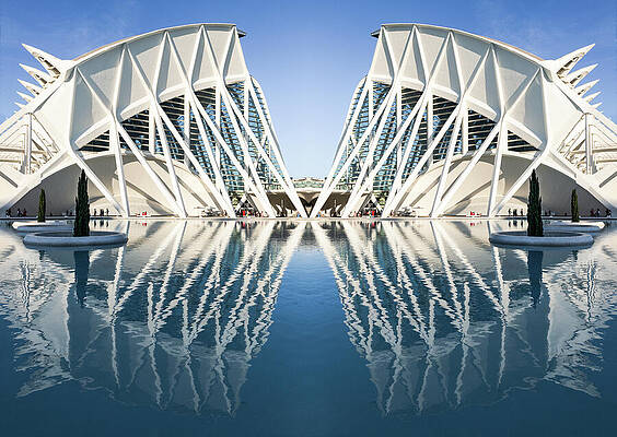 Architecture Wall Art featuring the photograph Symmetry And Reflection by Elvira Peretsman