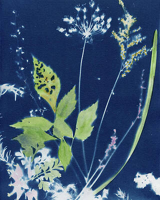 Photograph - Symphony Of Blossoms by Elizabeth Reich