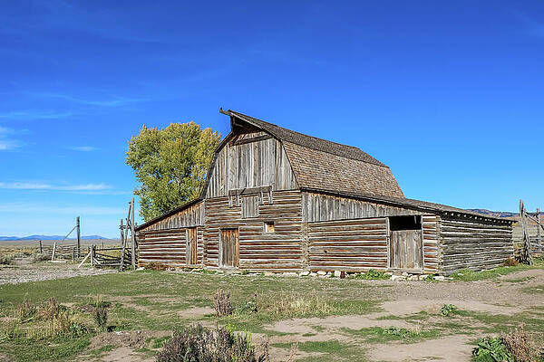 Fall Wall Art featuring the photograph T. A. Moulton Barn 4 by Dawn Richards