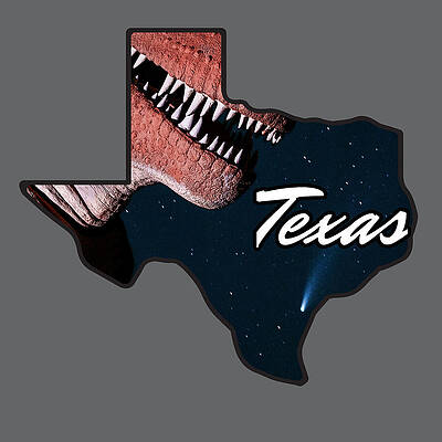 Sky Photograph - T-rex-as Com-et by KC Hulsman