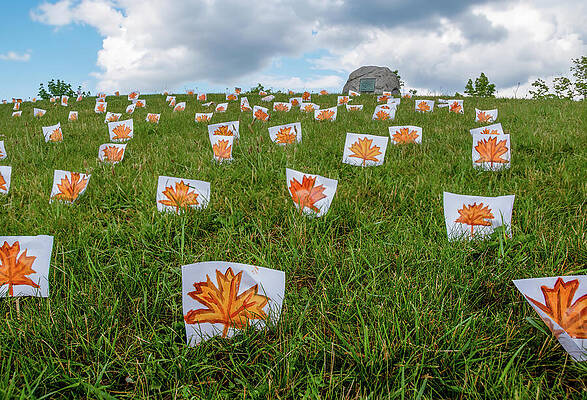 Historical Wall Art featuring the photograph Taber Hill Ossuary Memorialized 2 by John Twynam