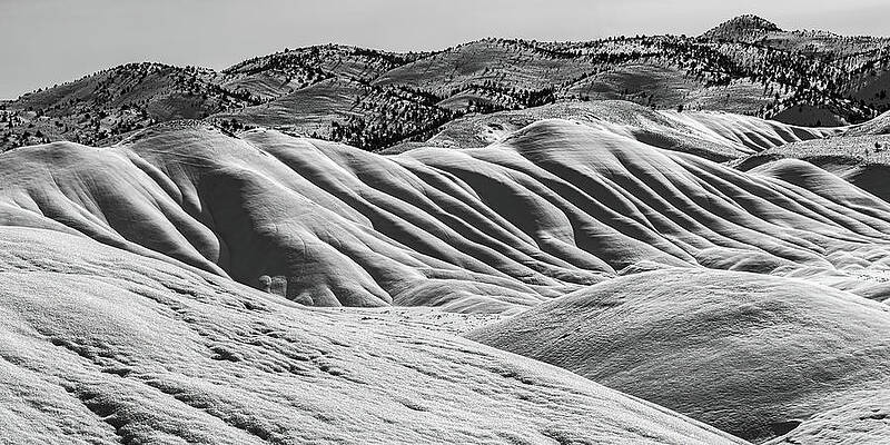 Oregon Photograph - Tabula Rasa by Tim Lyden