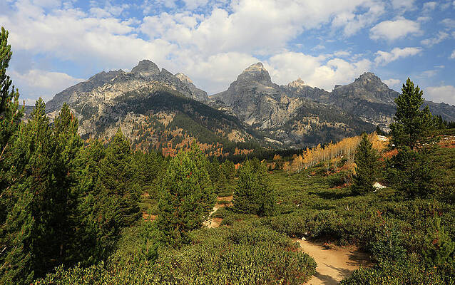 Wall Art featuring the photograph Taggart Lake Hiking Trail Autumn by Dan Sproul