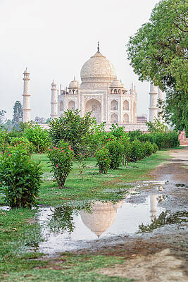 Taj Mahal Reflected in Water Wall Art
