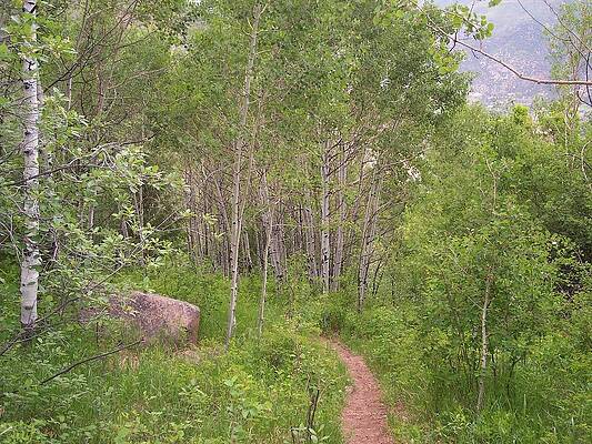 Colorado Wall Art featuring the photograph Take A Hike by Amanda R Wright
