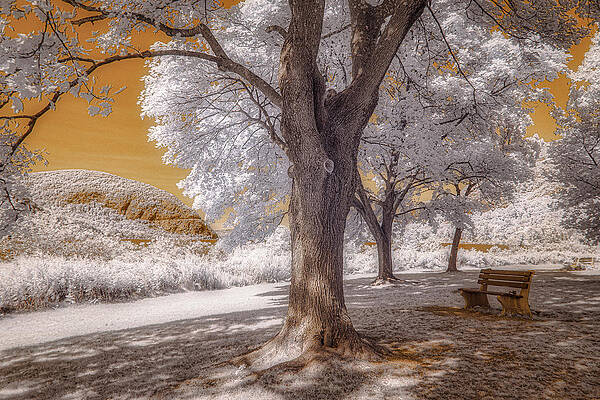 Wall Art featuring the photograph Take A Rest by Penny Polakoff