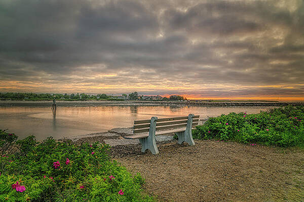 Wall Art featuring the photograph Take A Seat And Ponder by Penny Polakoff
