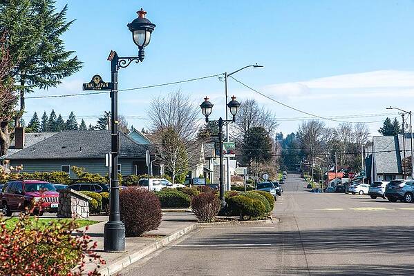 Washington Photograph - Taki Japan And Camas Washington by Tom Cochran