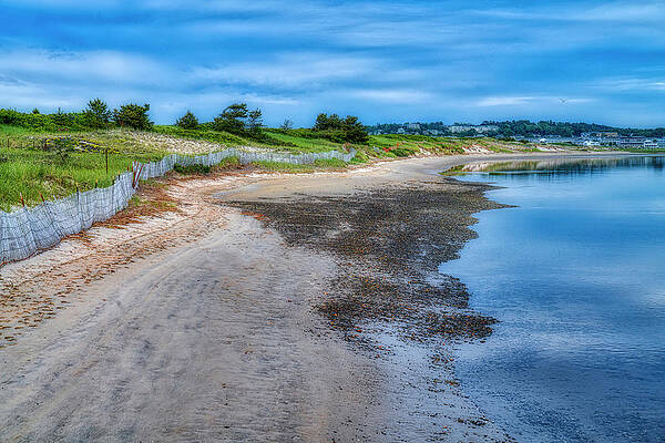 Reflection Photograph - Taking A Walk by Penny Polakoff
