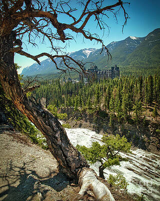 Banff National Park Photograph - Taking Hold Of Banff Springs Hotel by Thomas Nay