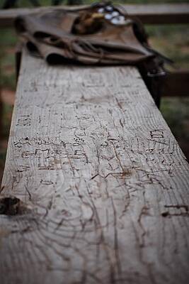 Cowboy Wall Art featuring the photograph Tales To Tell by Alden White Ballard