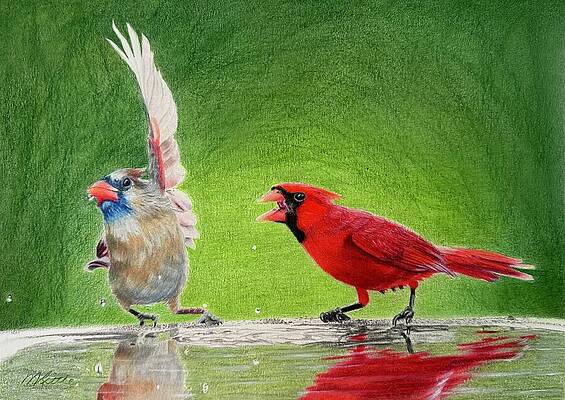 Nature Wall Art featuring the drawing Talk To The Wing by Marlene Little