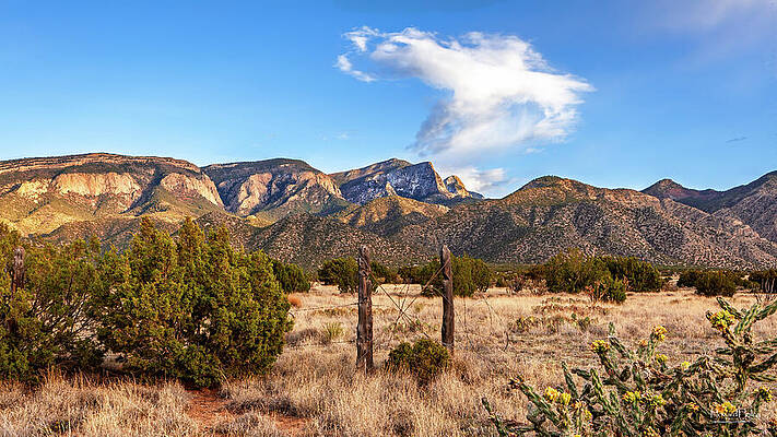 Desert Mountain Vista Wall Art