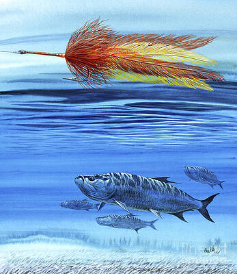 Tarpon And Apte Tarpon Fly Print