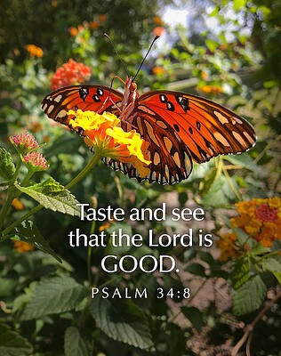 Natural Photograph - Tast And See by Greg Lane