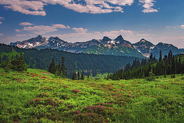 Paradise Photograph - Tatoosh Range, Washington by Abbie Warnock