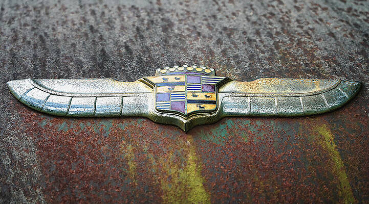 Vintage Winged Emblem on Rusty Surface Wall Art