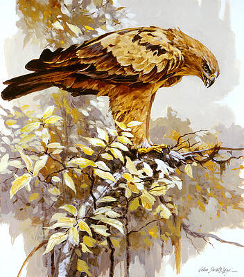 Nature Wall Art featuring the painting Tawny Eagle by John Swatsley