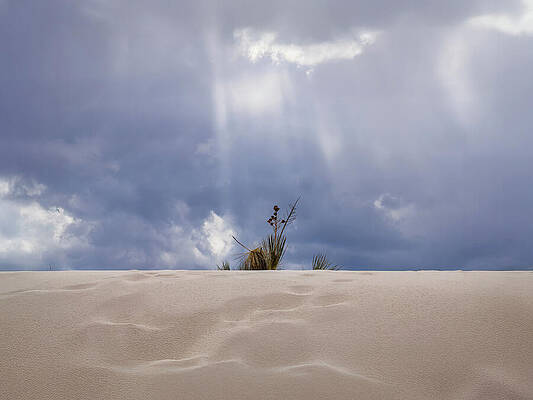 A Chance of Rain by Joe Schofield