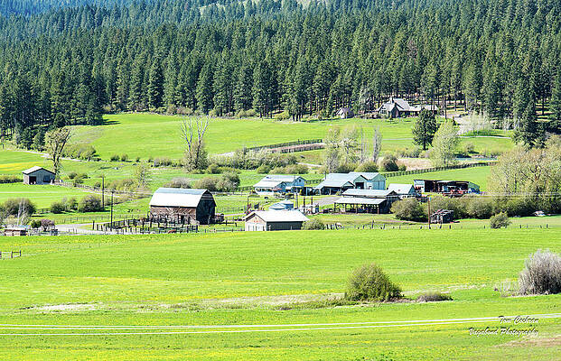 May Photograph - Teanaway Ranches by Tom Cochran