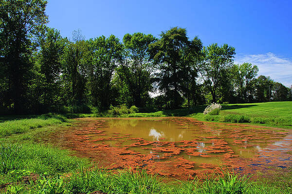 Golf Wall Art featuring the photograph Tee Time - Water Hazard by NorthEast Creativity