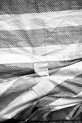 Wall Art featuring the photograph Temporary by Mia Badenhorst