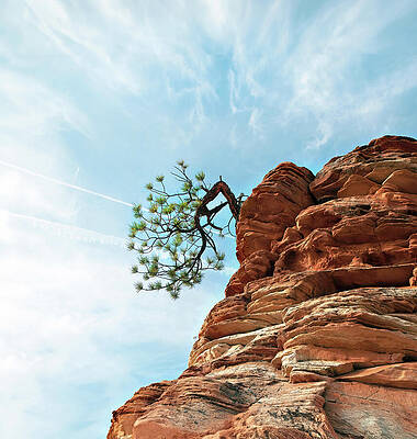 Wall Art featuring the photograph Tenacity by Joe Schofield