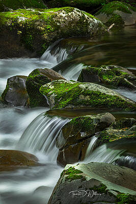Photograph - Tennessee Smoky Mountains Cascades by Theresa D Williams Smoky Mountains