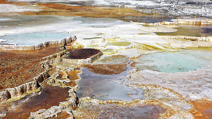 Vibrant Photograph - Terraces -- Main Terrace At Mammoth Hot Springs In Yellowstone National Park, Wyoming by Darin Volpe