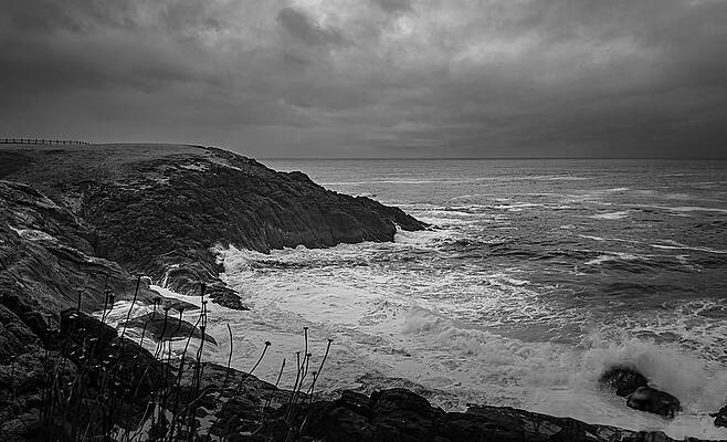 Beautiful Wall Art featuring the photograph Terrifying Beauty by Shannon Williams